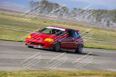 media/Mar-30-2025-Speed Ventures (Sun) [[39e6b1441d]]/Yellow/Front Straight/